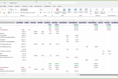 CUF Viewer, export naar Excel